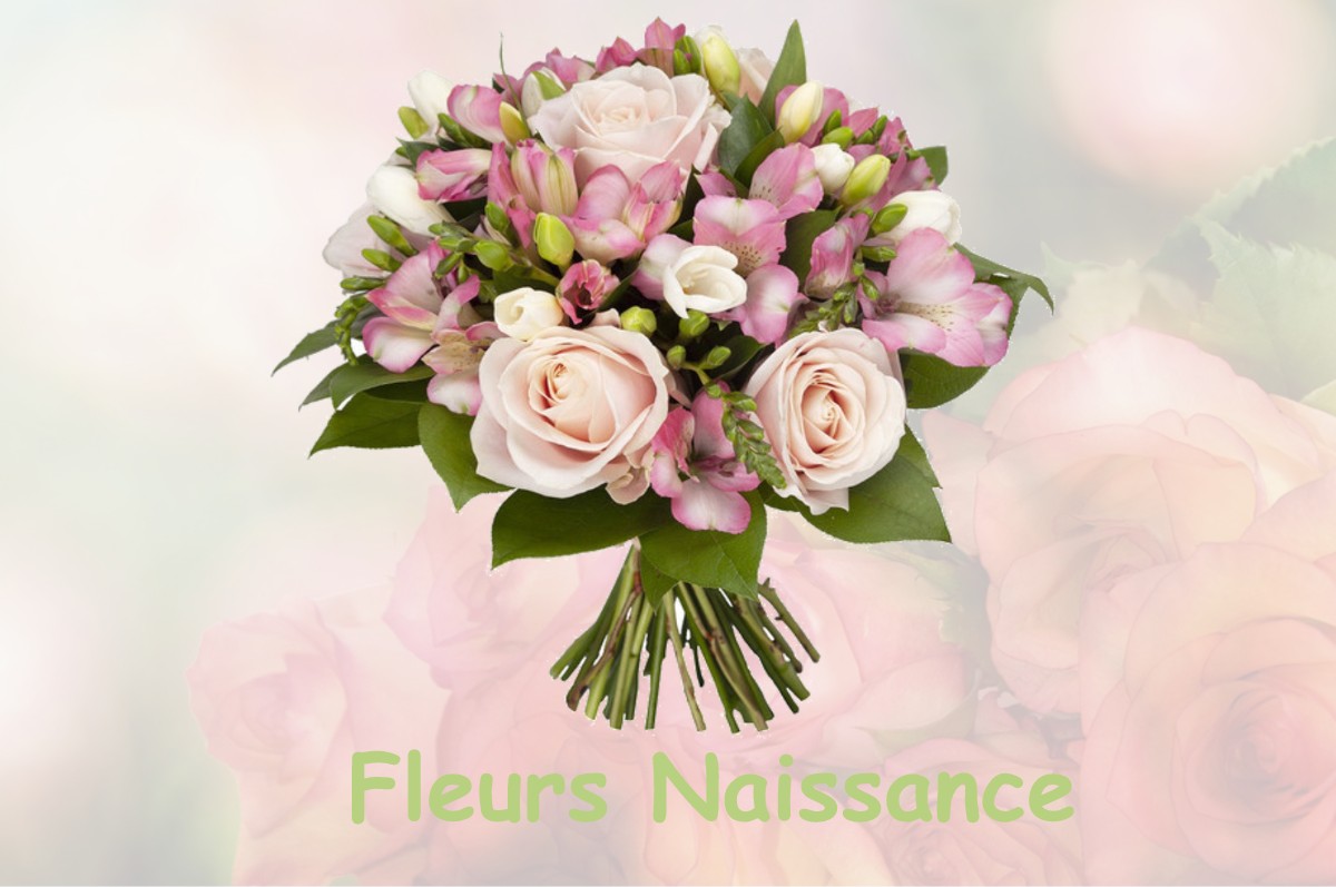 fleurs naissance LA-GRANDE-PAROISSE